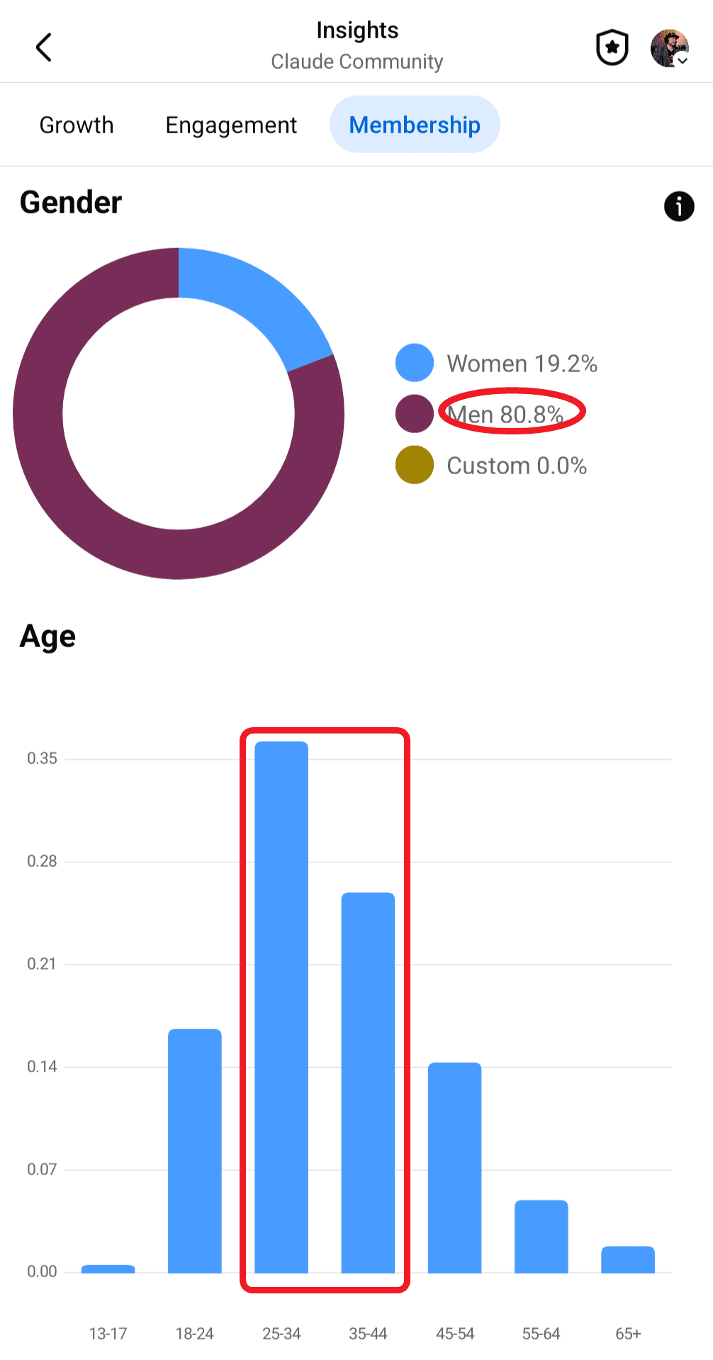 Facebook Insights membership demographics: 80.8% men, largest age group 25-34